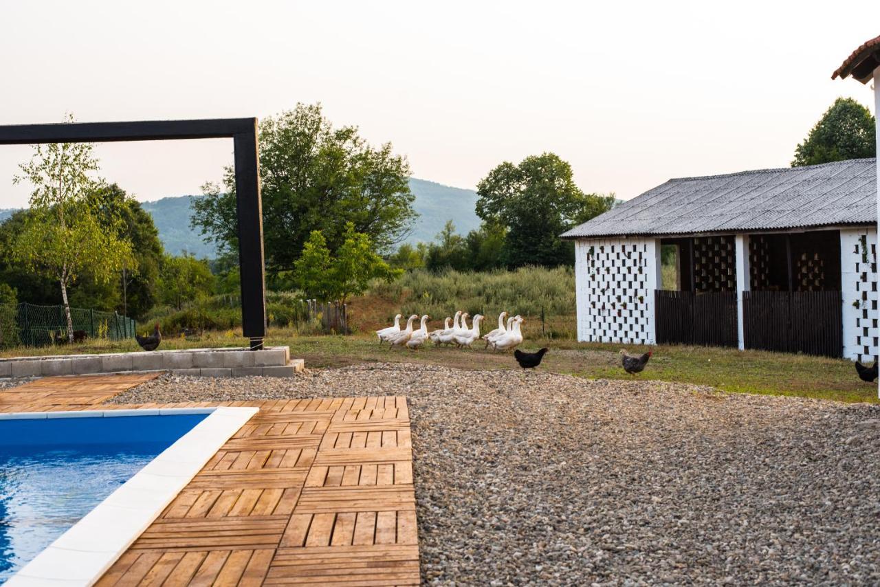 Skriveni Raj Guest House Gornji Milanovac Exterior photo